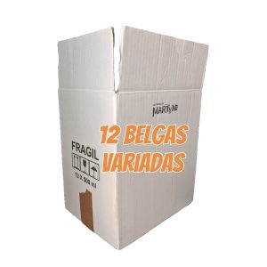 Lote 12 Cervezas Belgas